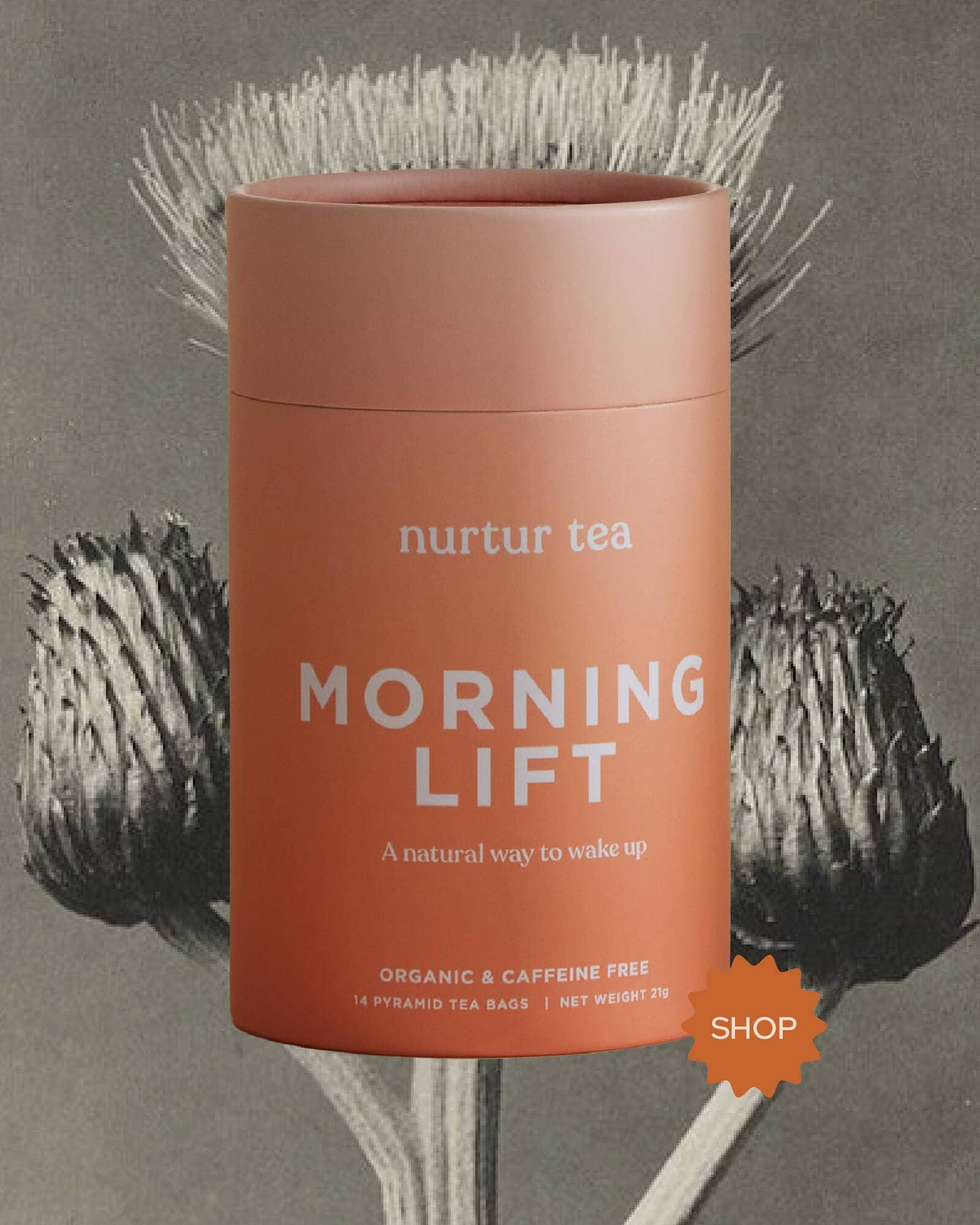 Morning Lift Tea: Tea Bags | 14 pyramid bags