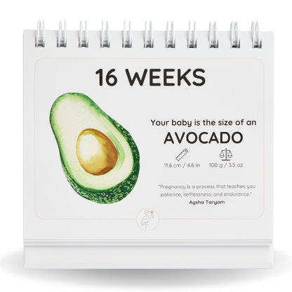 "The Sentimental Starter" Bundle