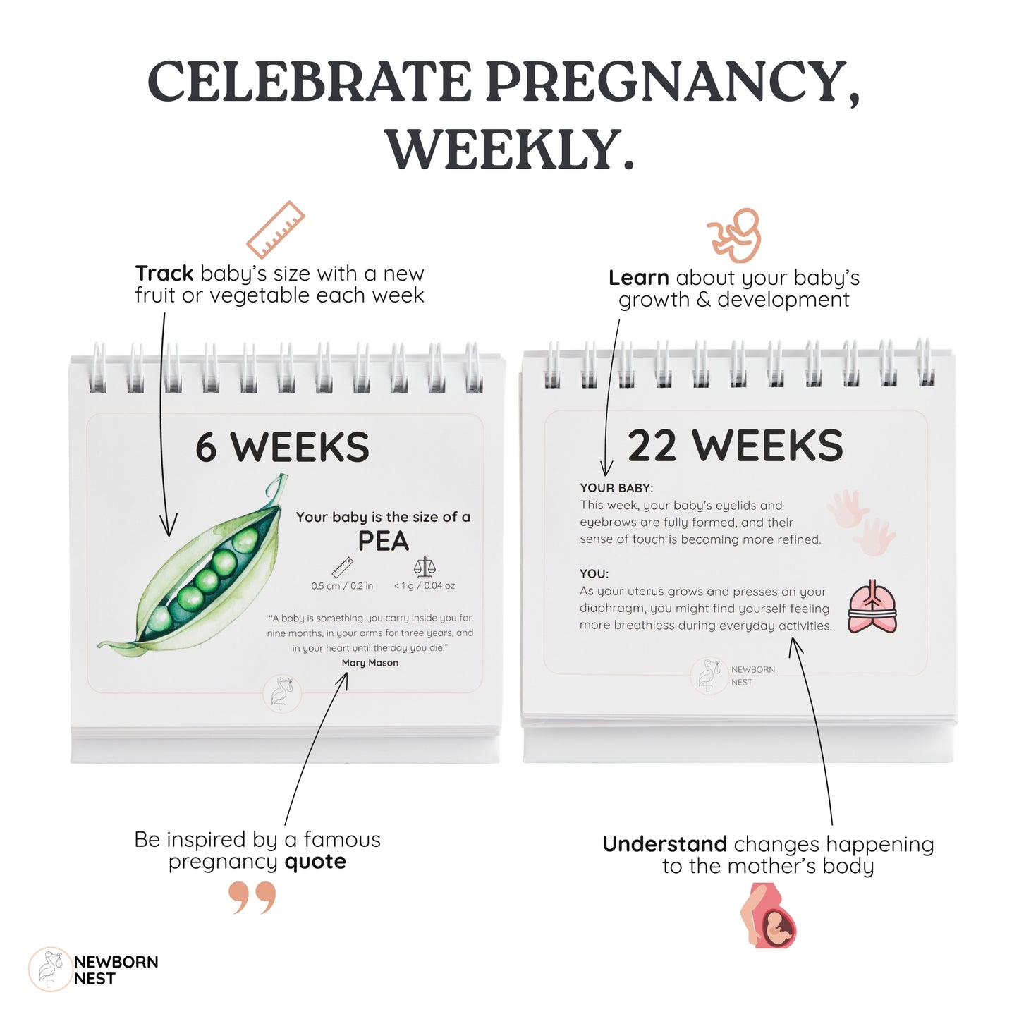 "The Growing Miracle" Pregnancy Calendar