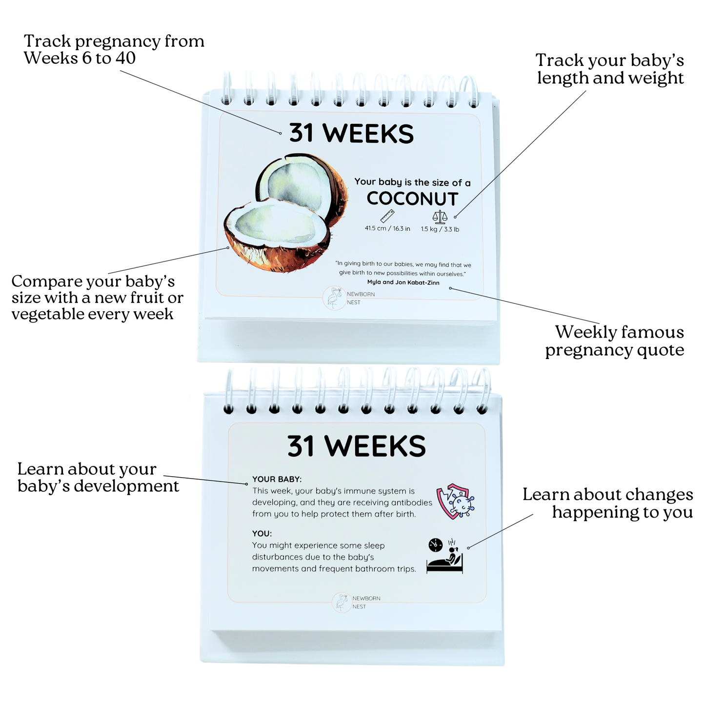 The Growing Miracle Pregnancy Calendar