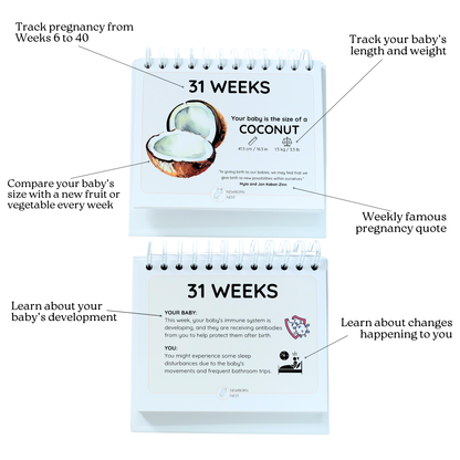 The Growing Miracle Pregnancy Calendar
