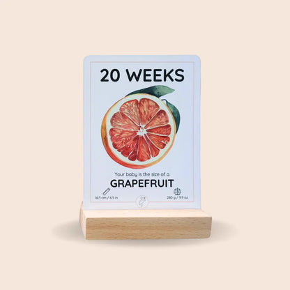 The Growing Miracle Pregnancy Calendar Newborn Nest AU