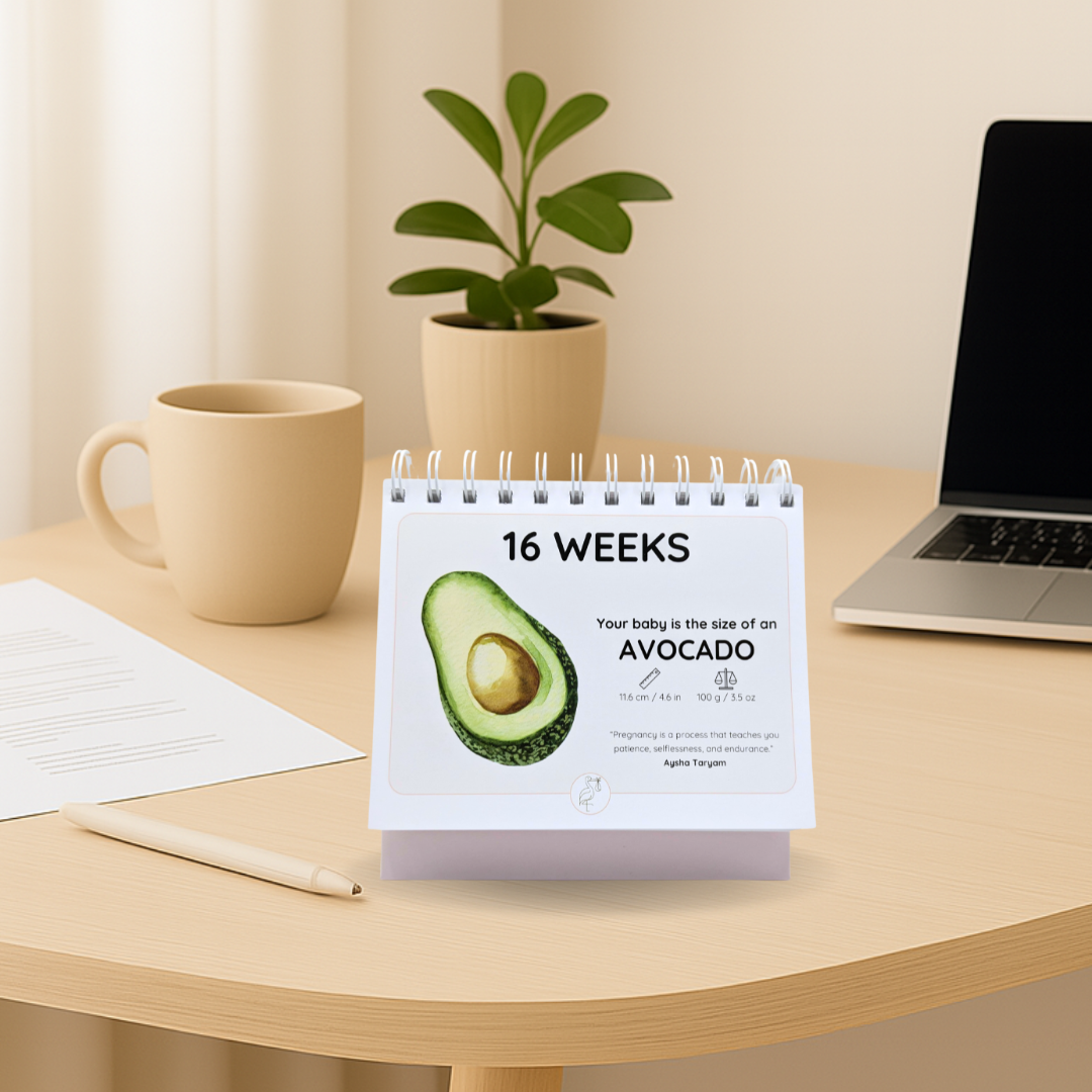 The Growing Miracle Pregnancy Calendar