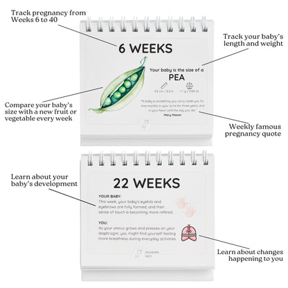 "The Growing Miracle" Bundle