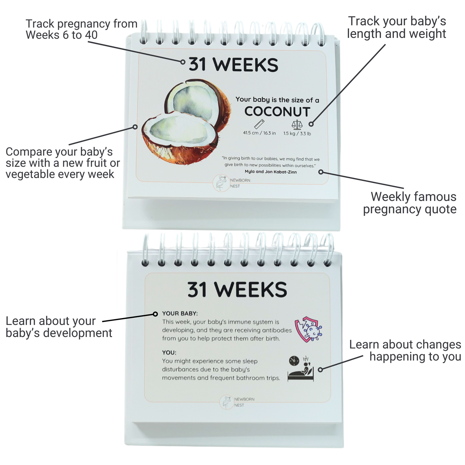 The Growing Miracle Pregnancy Calendar - Newborn Nest