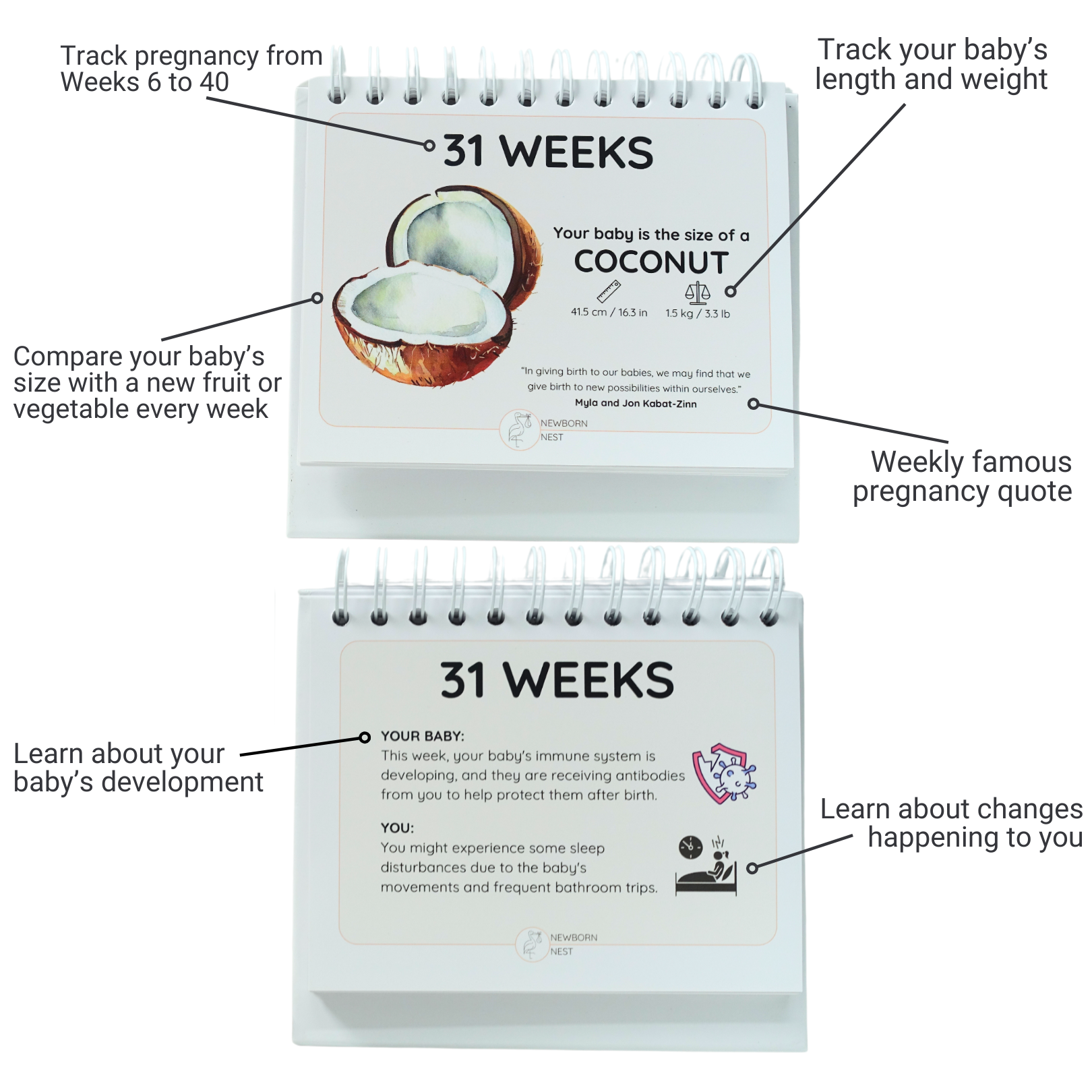 The Growing Miracle Pregnancy Calendar - Newborn Nest