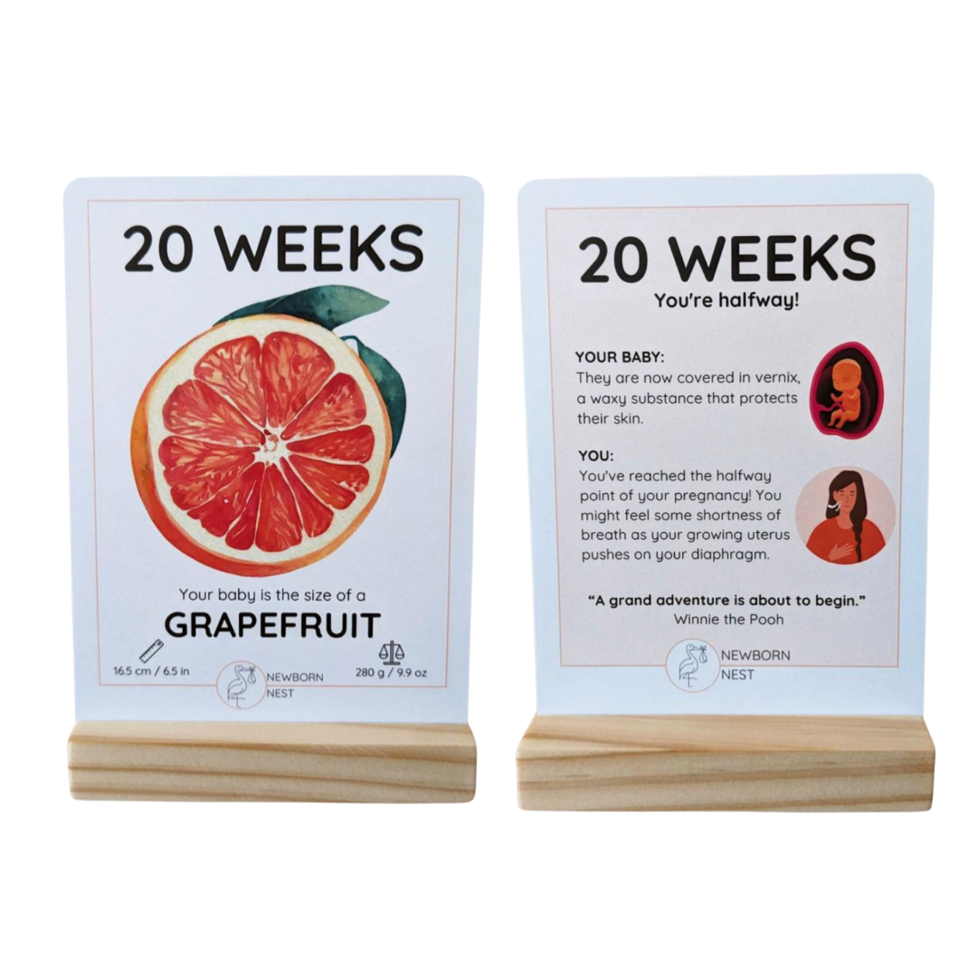 The Growing Miracle Pregnancy Calendar
