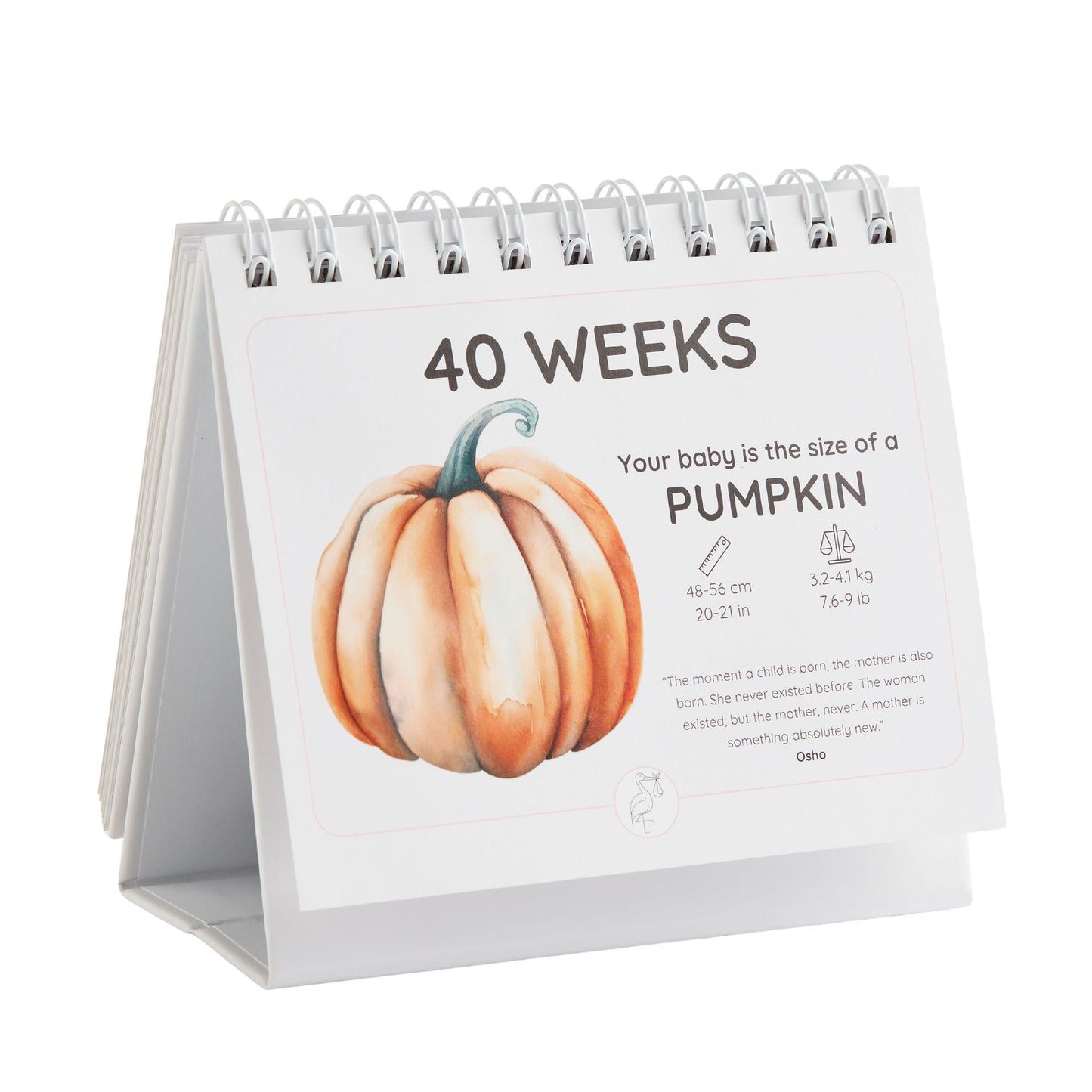 "The Growing Miracle" Pregnancy Calendar