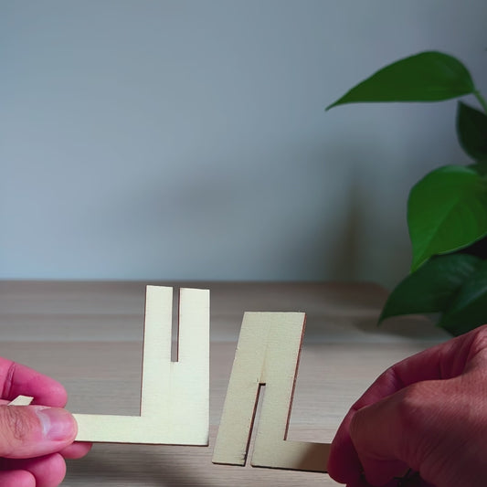 "The Growing Miracle" Bundle